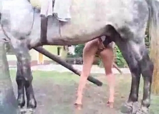 Blonde fucking animals doggie-style
