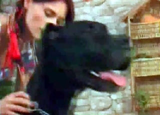 Playful doggy knows how to get it