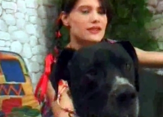 Playful doggy knows how to get it