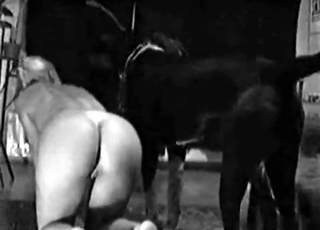 Pussy pumped by a doggie