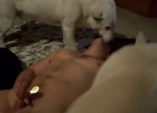 Very passionate act with dogs