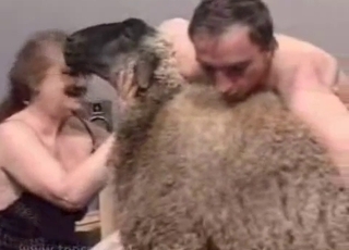 Sheep is gonna get gang-banged here