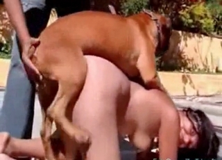 Muscled mutt is a fine pounder