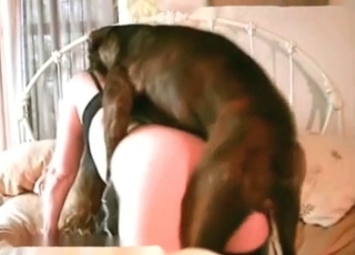 Trained mutt is a ideal paramour