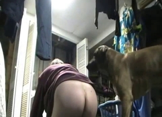 Extraordinaire banging in this vid with a great doggie