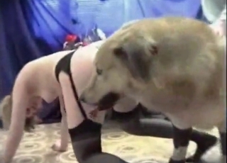 Doggy is enjoying anal hump with this hooker