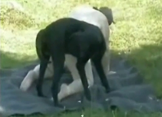 Chubby hooker and her doggy have good fuck