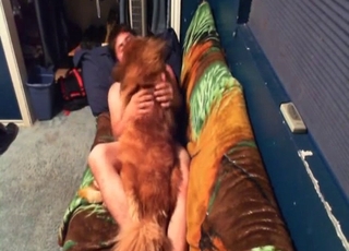 He's determined to fuck that dog