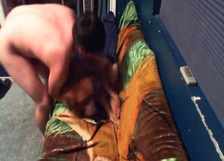 He's determined to fuck that dog