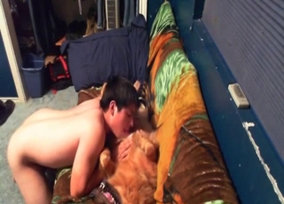 He's determined to fuck that dog