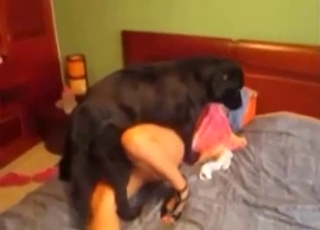 Black hound having an intense bestiality session