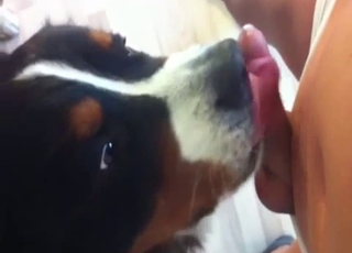 Dude jerking it in front of a dog