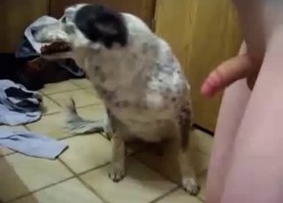 Fat dog fucked hard by a hung stud here