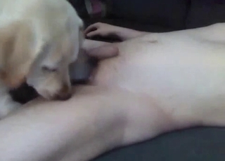 This dog is hella fucking slutty