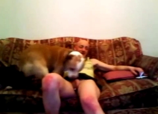 Bald man and doggy having sex on sofa
