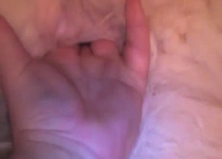 Furry white dog gets finger-blasted hard