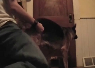 Grabbing and fucking that tight dog hole