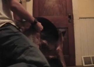 Grabbing and fucking that tight dog hole